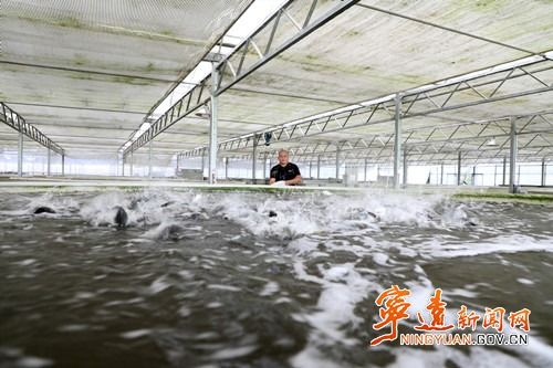 宁远 工厂化循环水养鱼，助力村民增收与畜牧业饲料升级